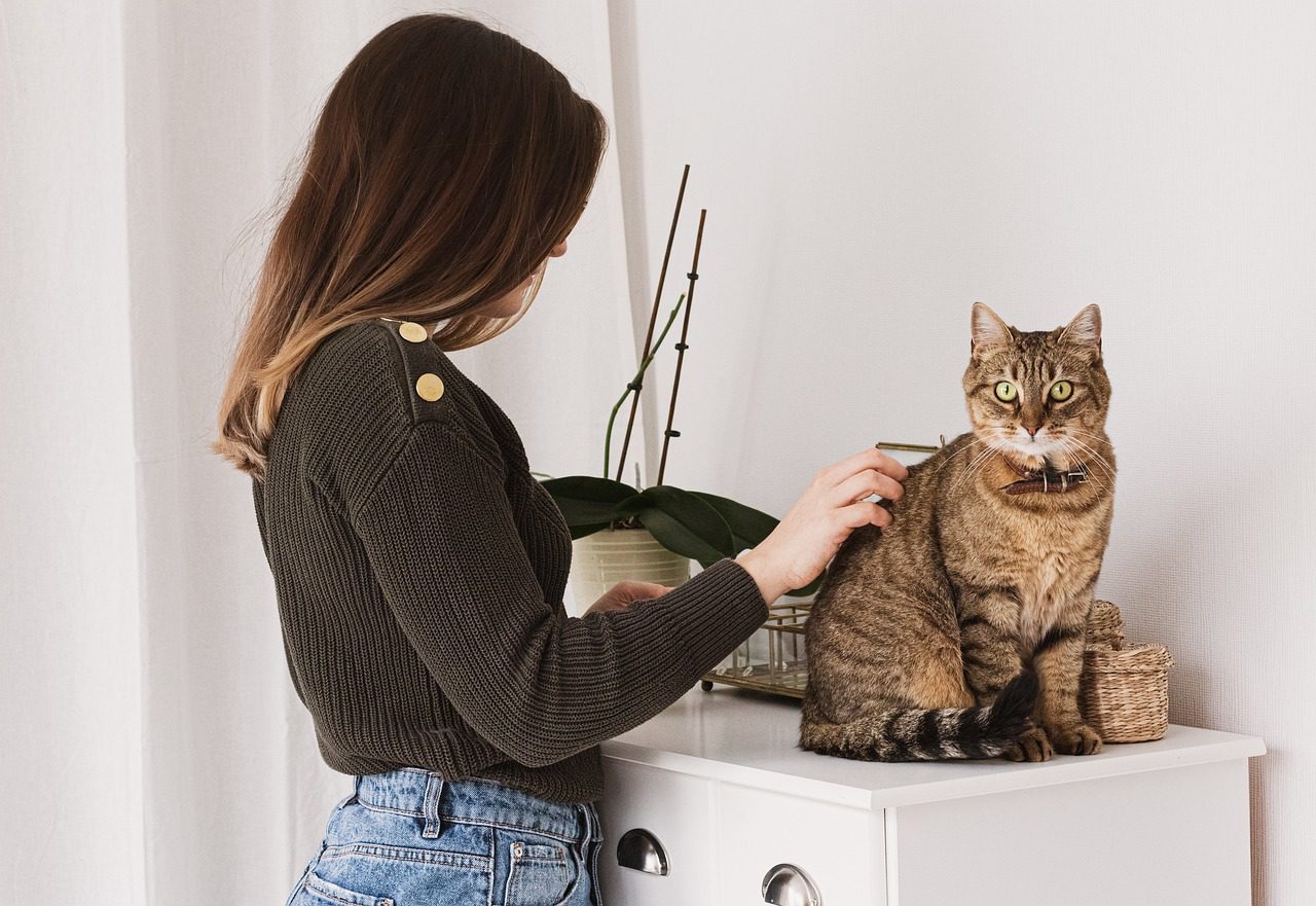 Image of a lady grooming a cat