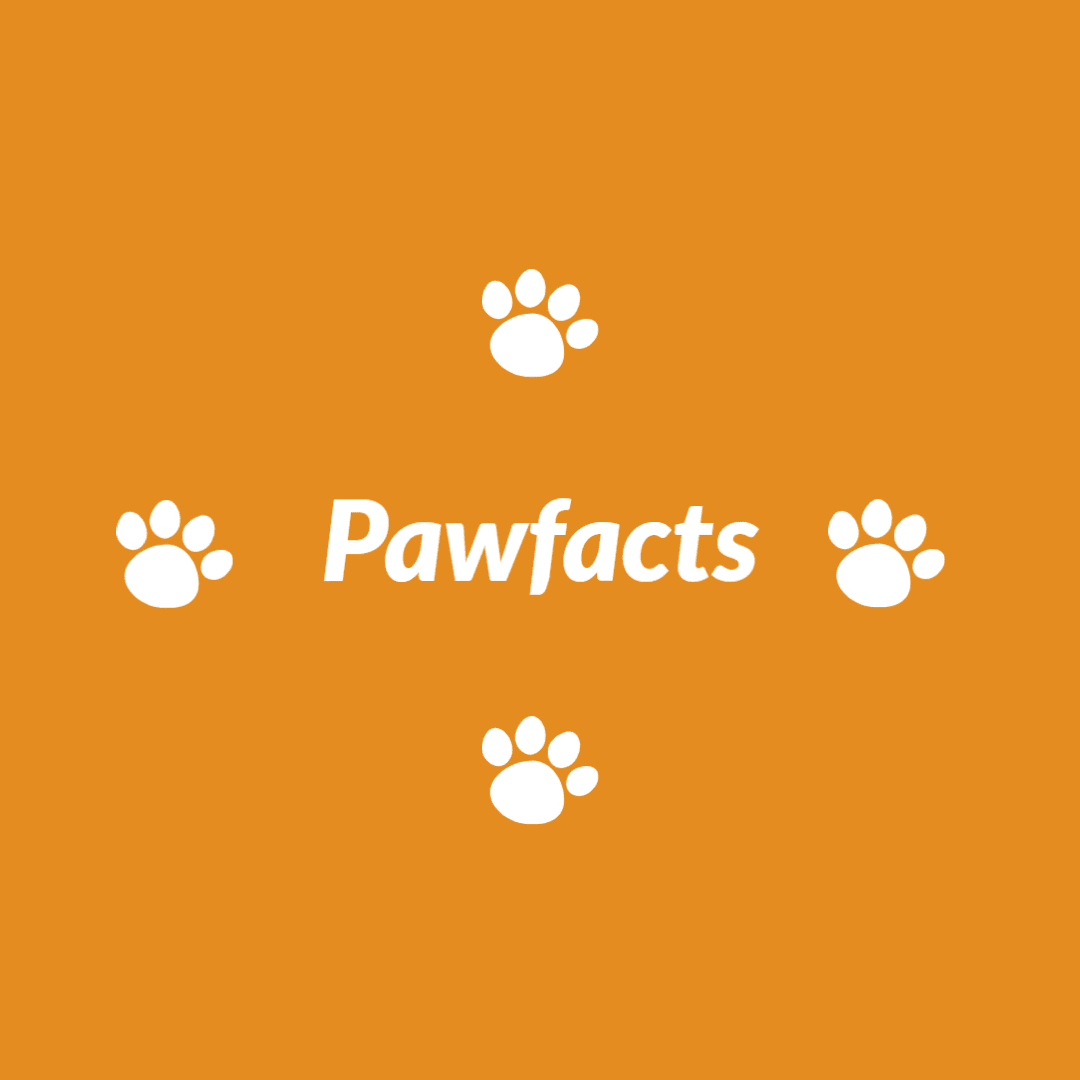 Pawfacts