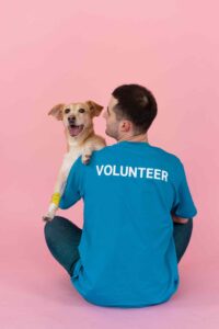 Dog Adoption Procedure- Volunteers