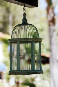 Cage for Pet Cockatoos
